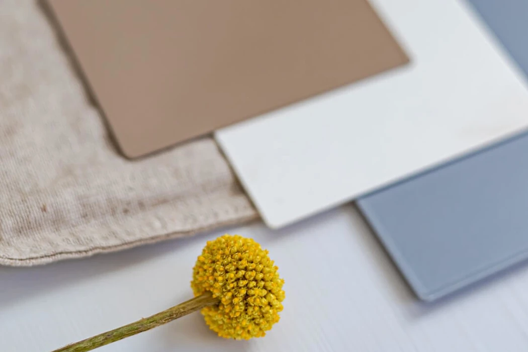 Colour samples Sentimo